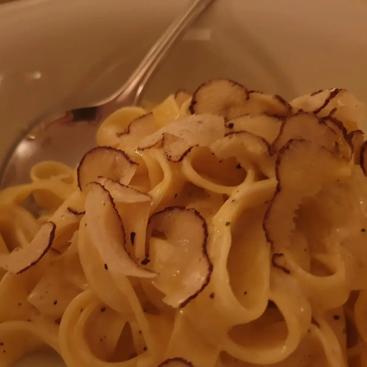 Truffle Pappardelle