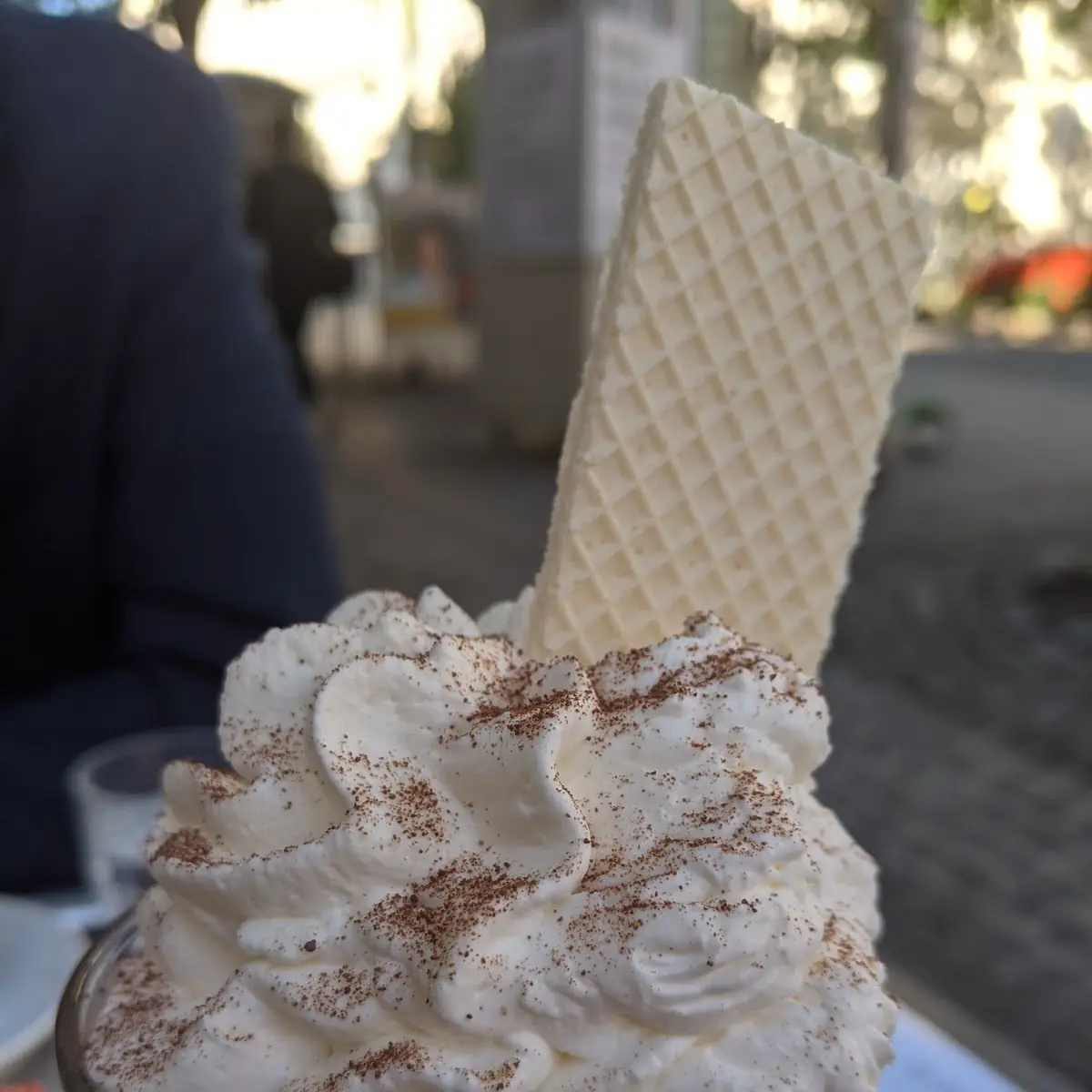 Wiener Eiskaffee