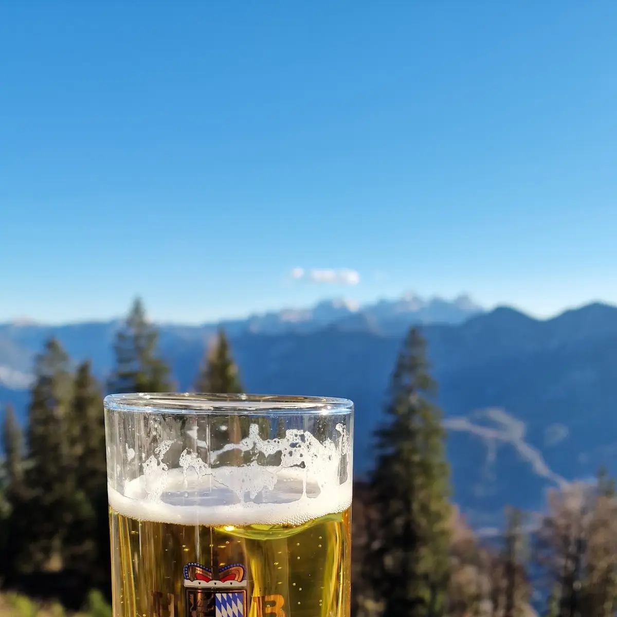 Bier