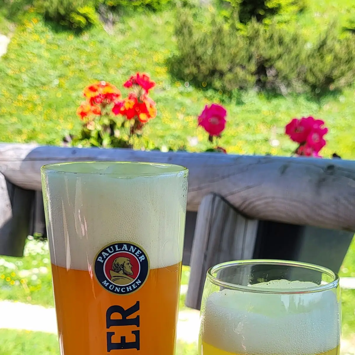 Weißbier Und Radler