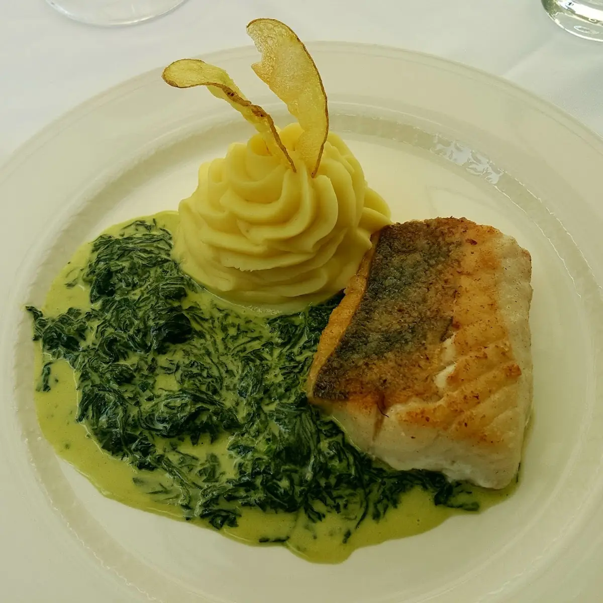 Zanderfilet Mit Spinat