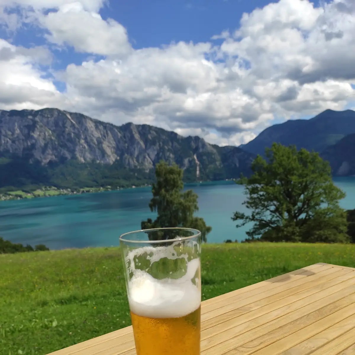 Bier