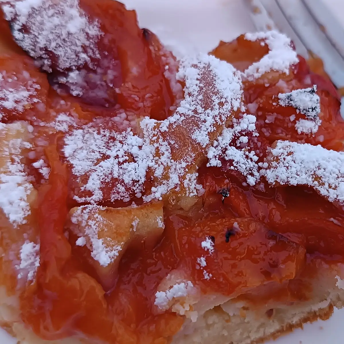Marillen Kuchen