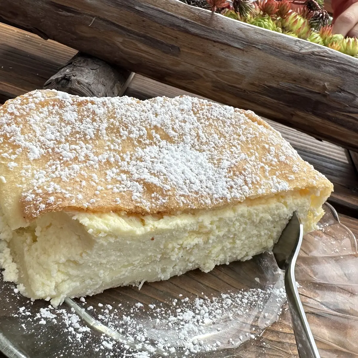 Bio Topfenstrudel