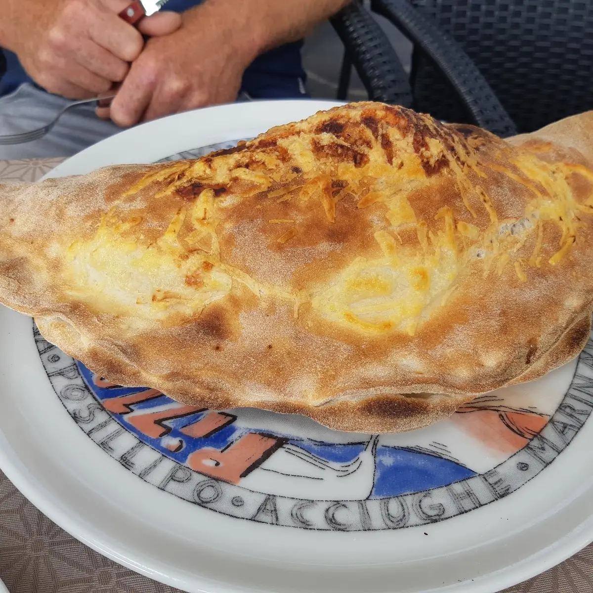 Pizza Calzone