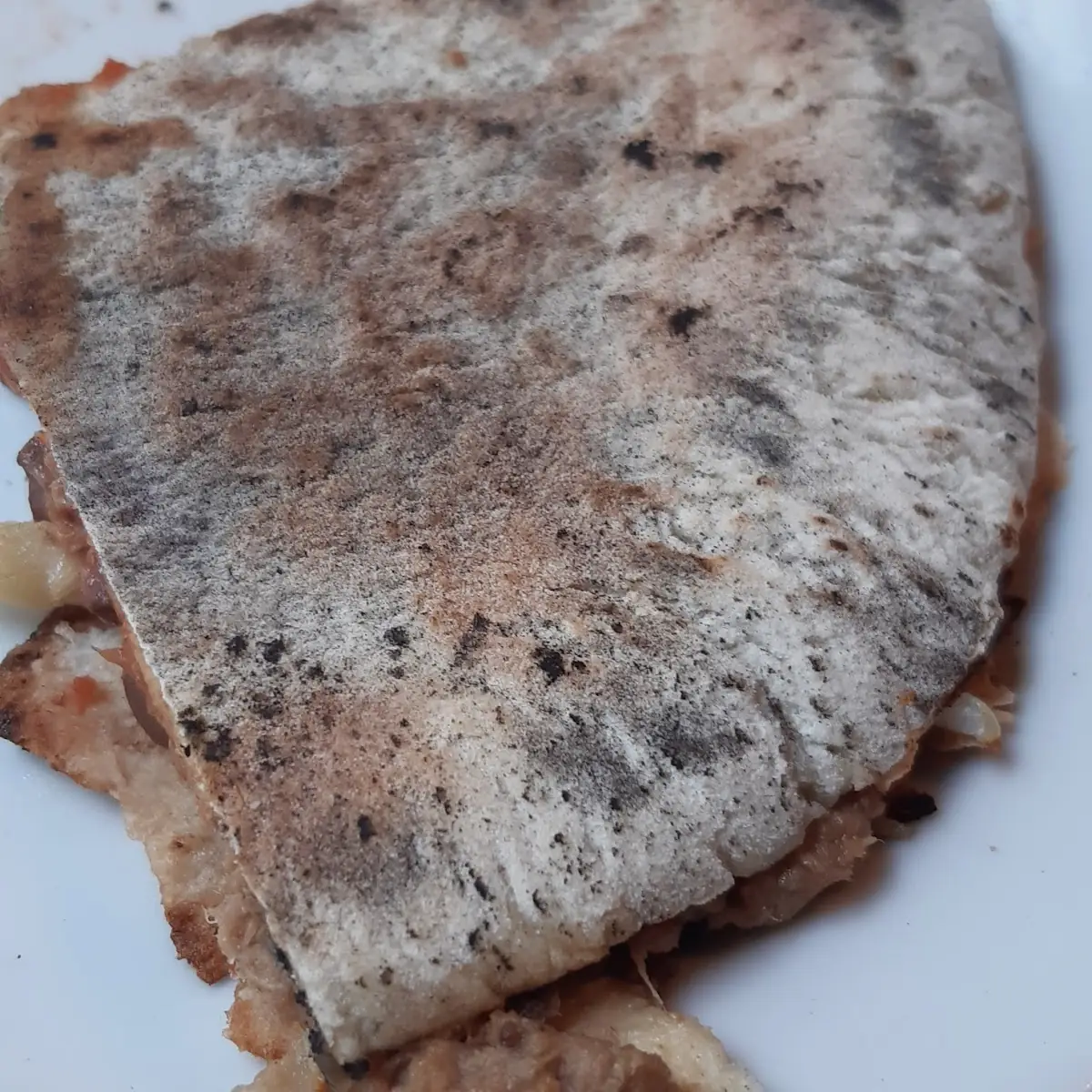 Fladenbrot Mit Thunfisch Tomaten Und Zwiebel, Fladerei Otto Bauer Gasse