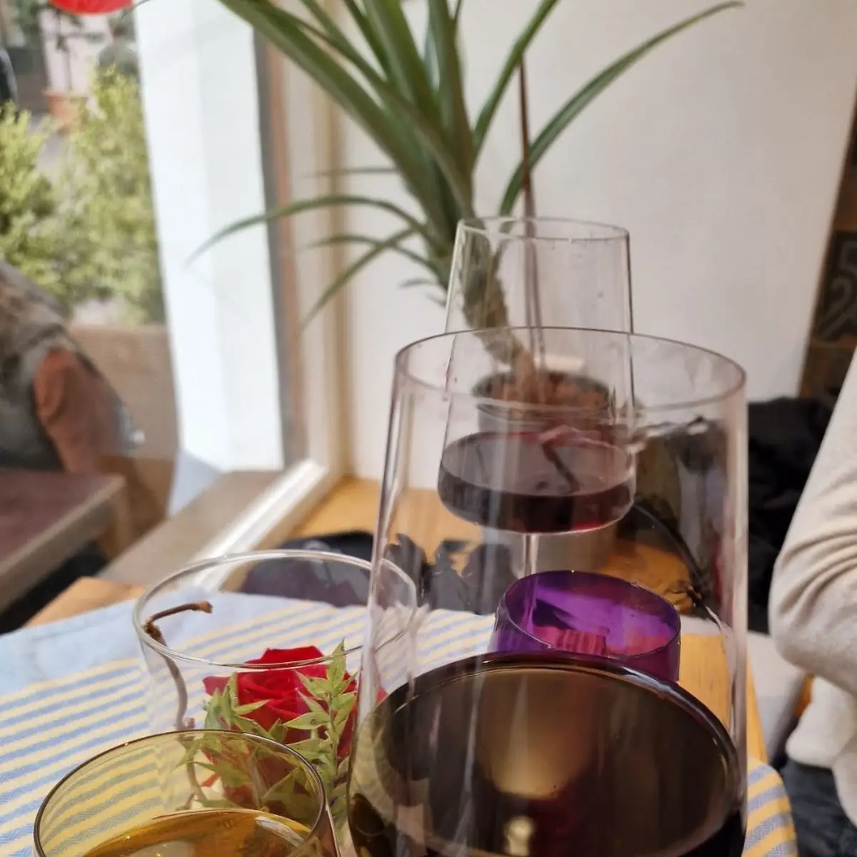 Primitivo Apulien