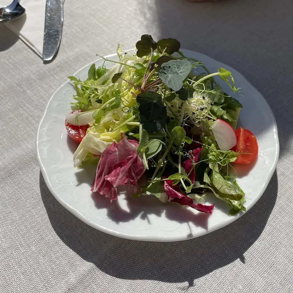 Perkraut Ceeve Werd Alexen Salat