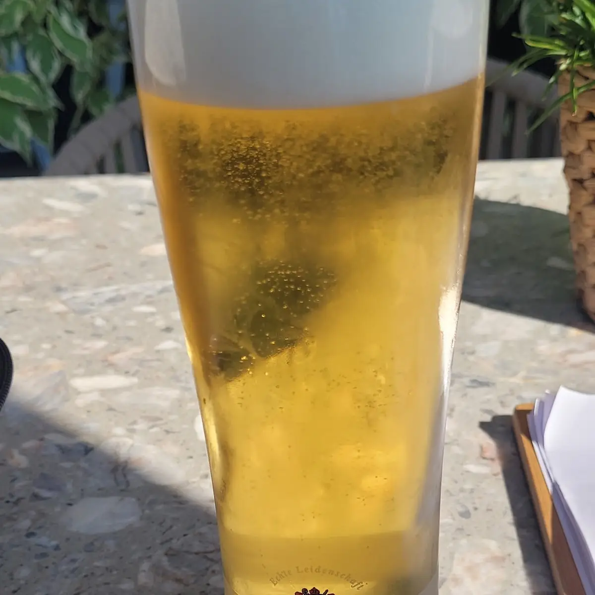 Beer