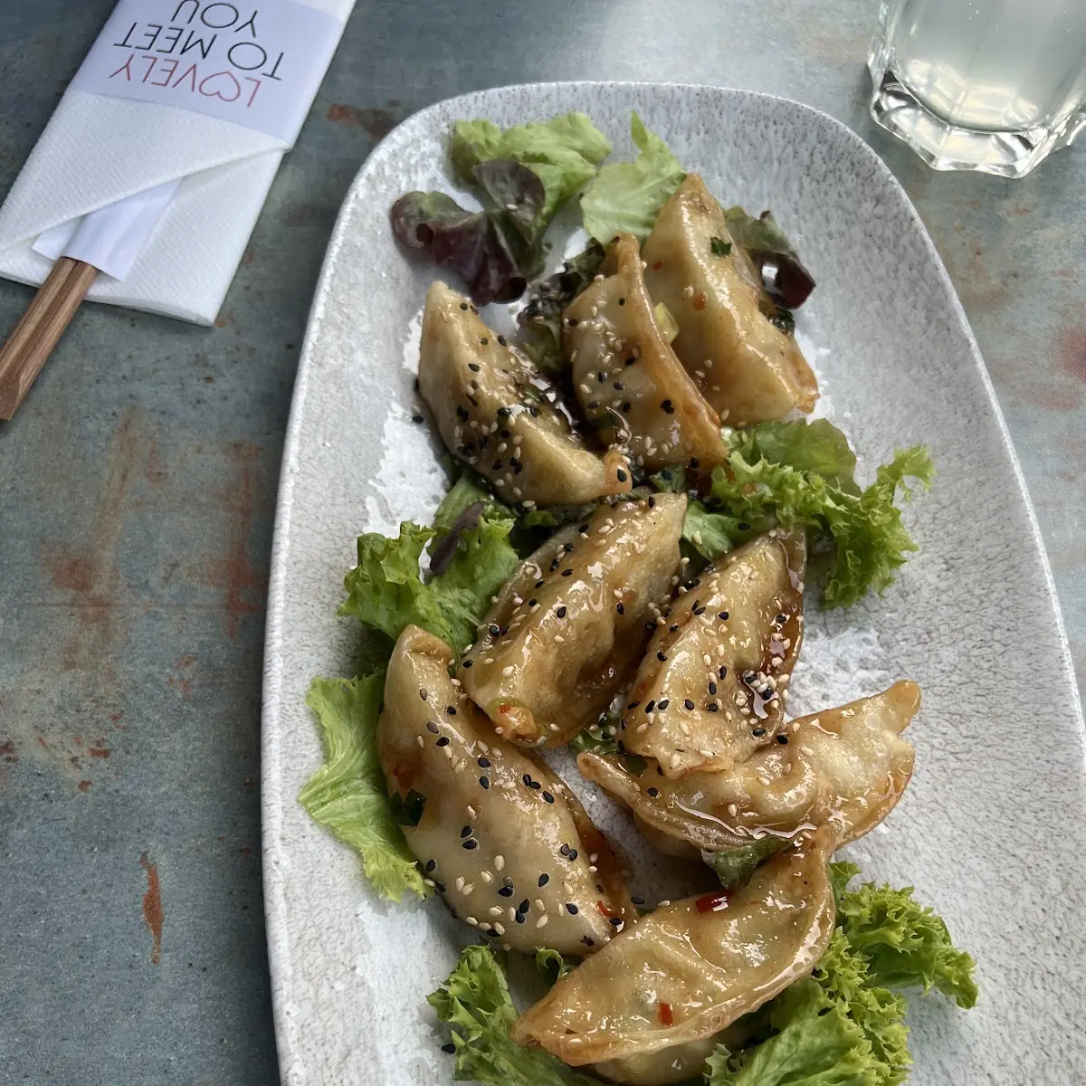 Vegane Gyoza