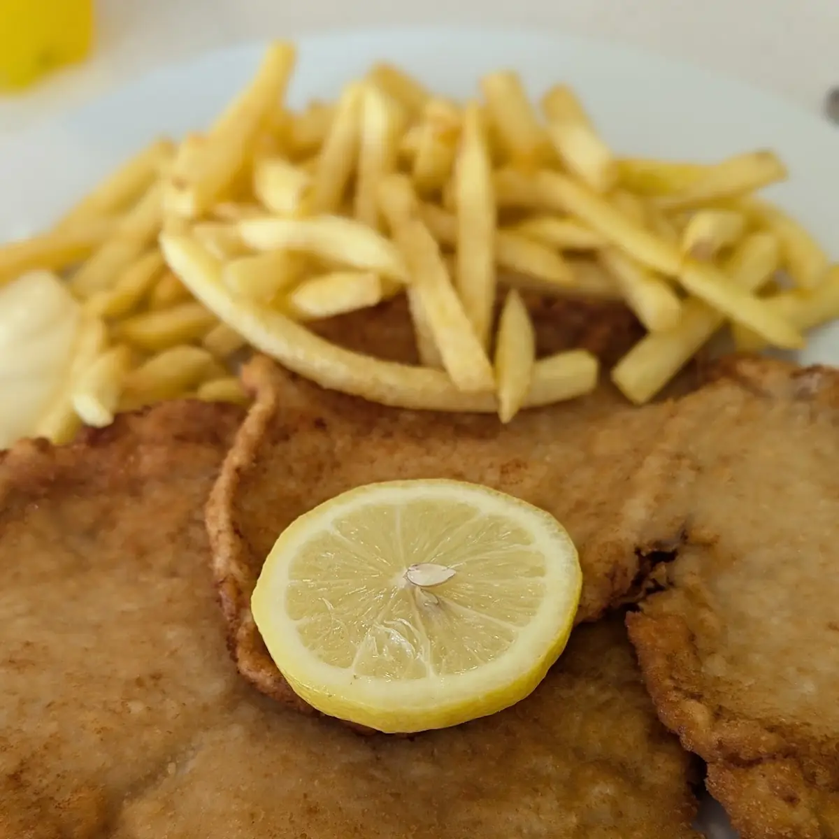 Schnitzel XXL