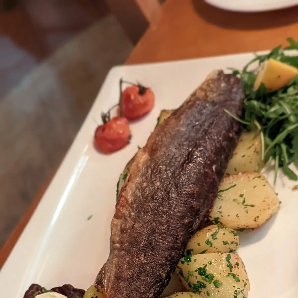 Trout