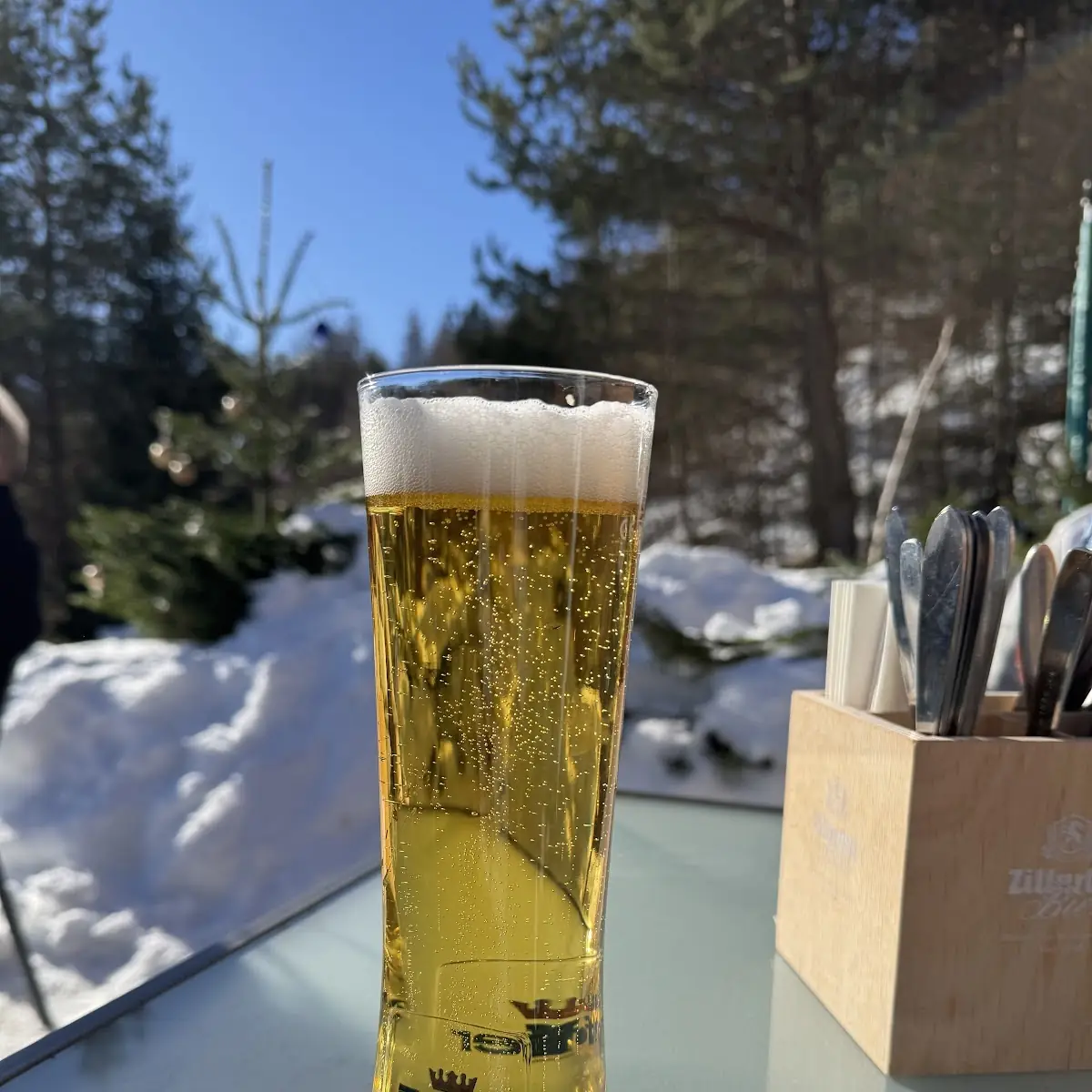 Bier