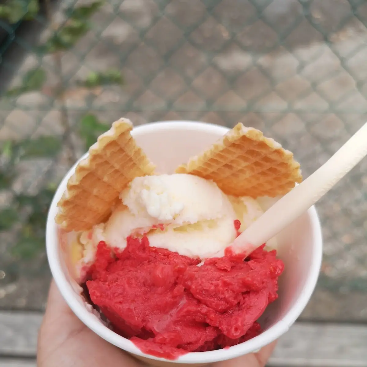 Himbeer Und Maracuja Eis
