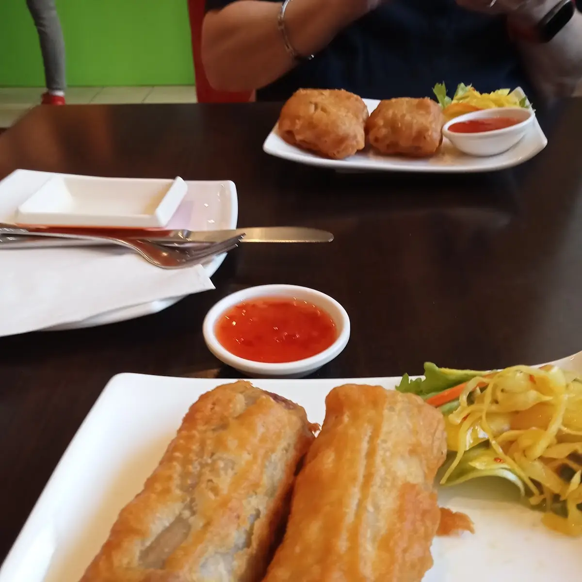 Thailändische Frühlingsrollen Mit Hühnerfleisch Und Roten Kraut Herrlich Gewürzt