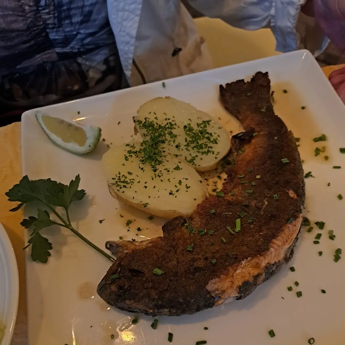 Fangfischer Saibling Mit Reis Und Salat