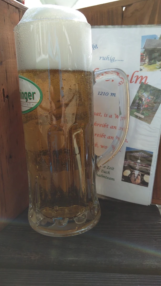 Bier