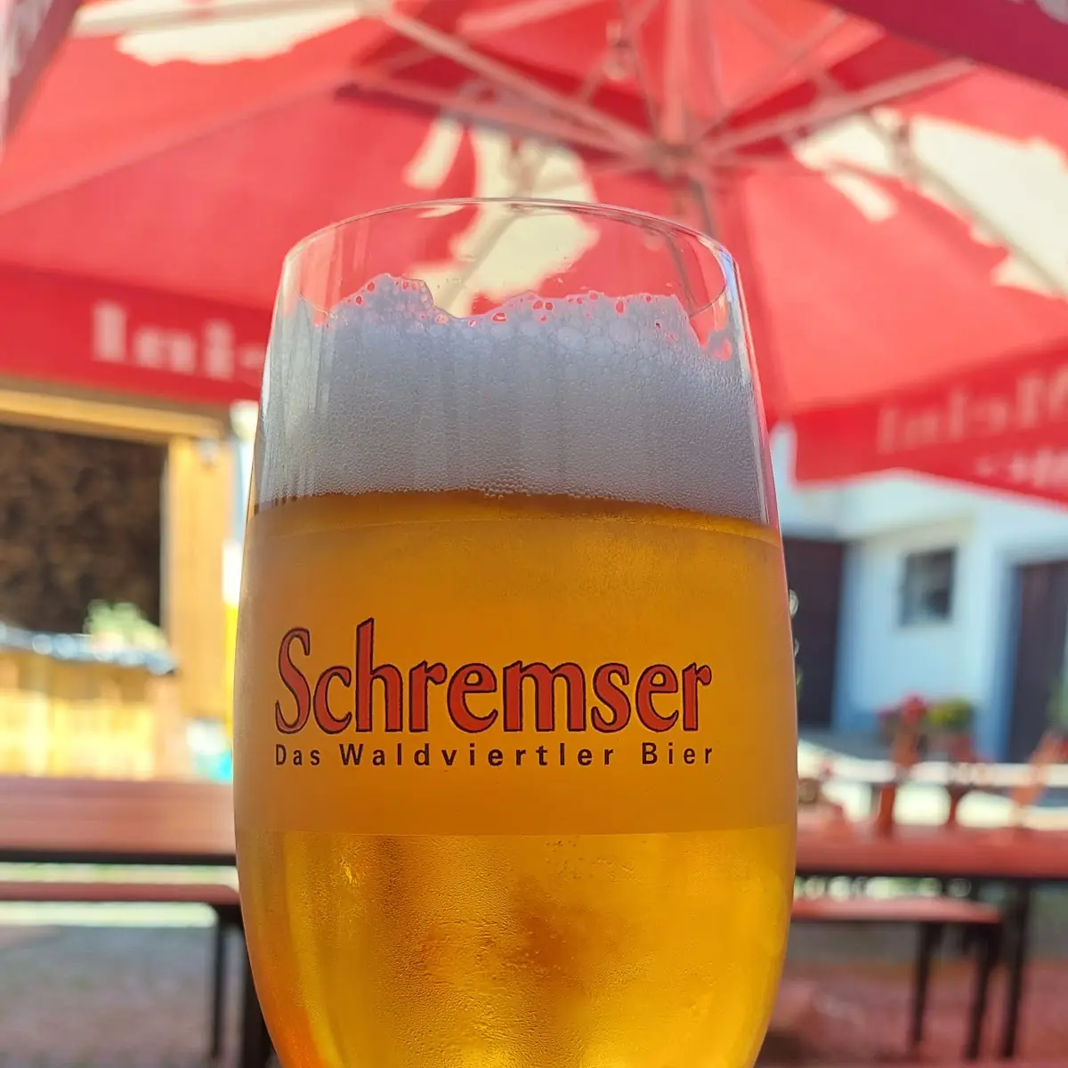 Bier