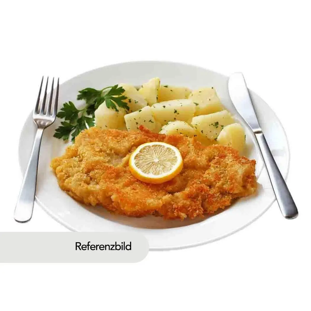 Highlight 11