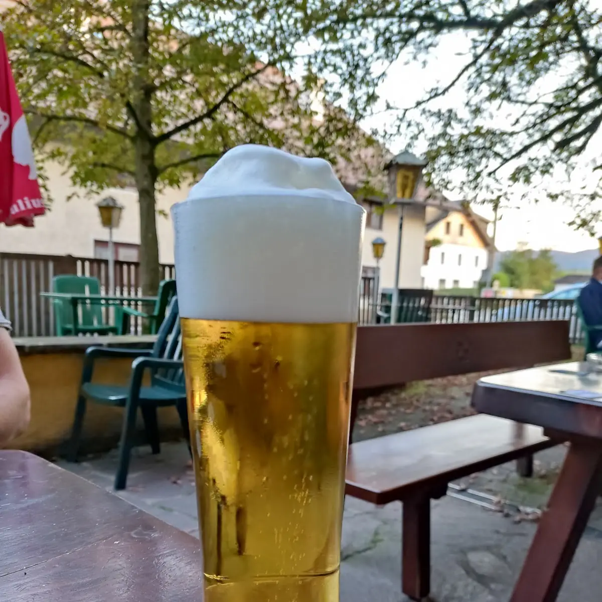 Bier