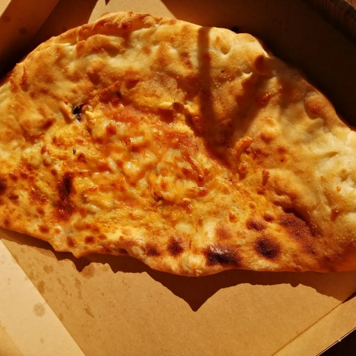Pizza Calzone