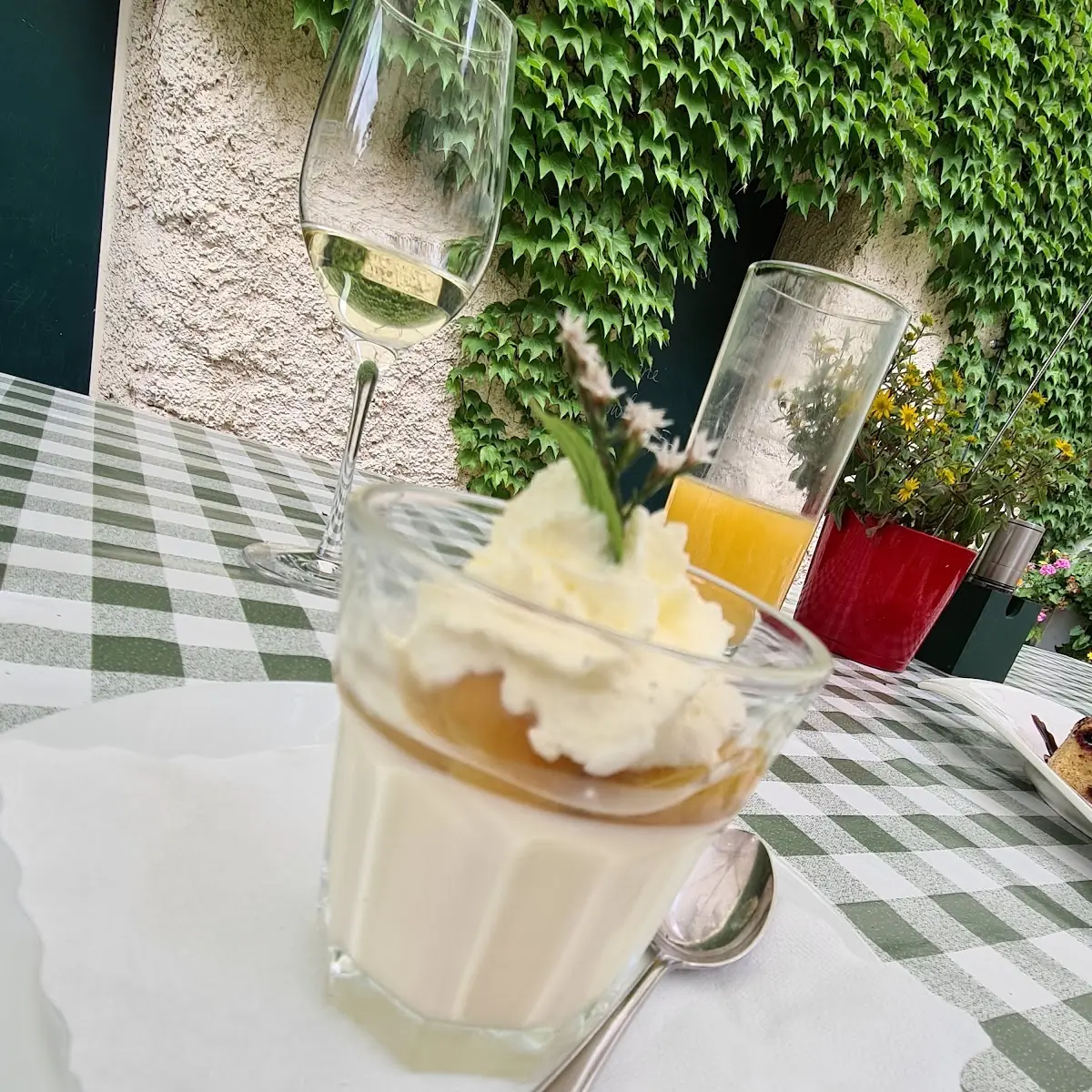 Honig-panna Cotta