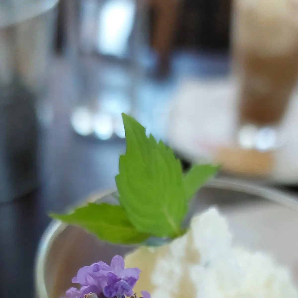 Panna Cotta