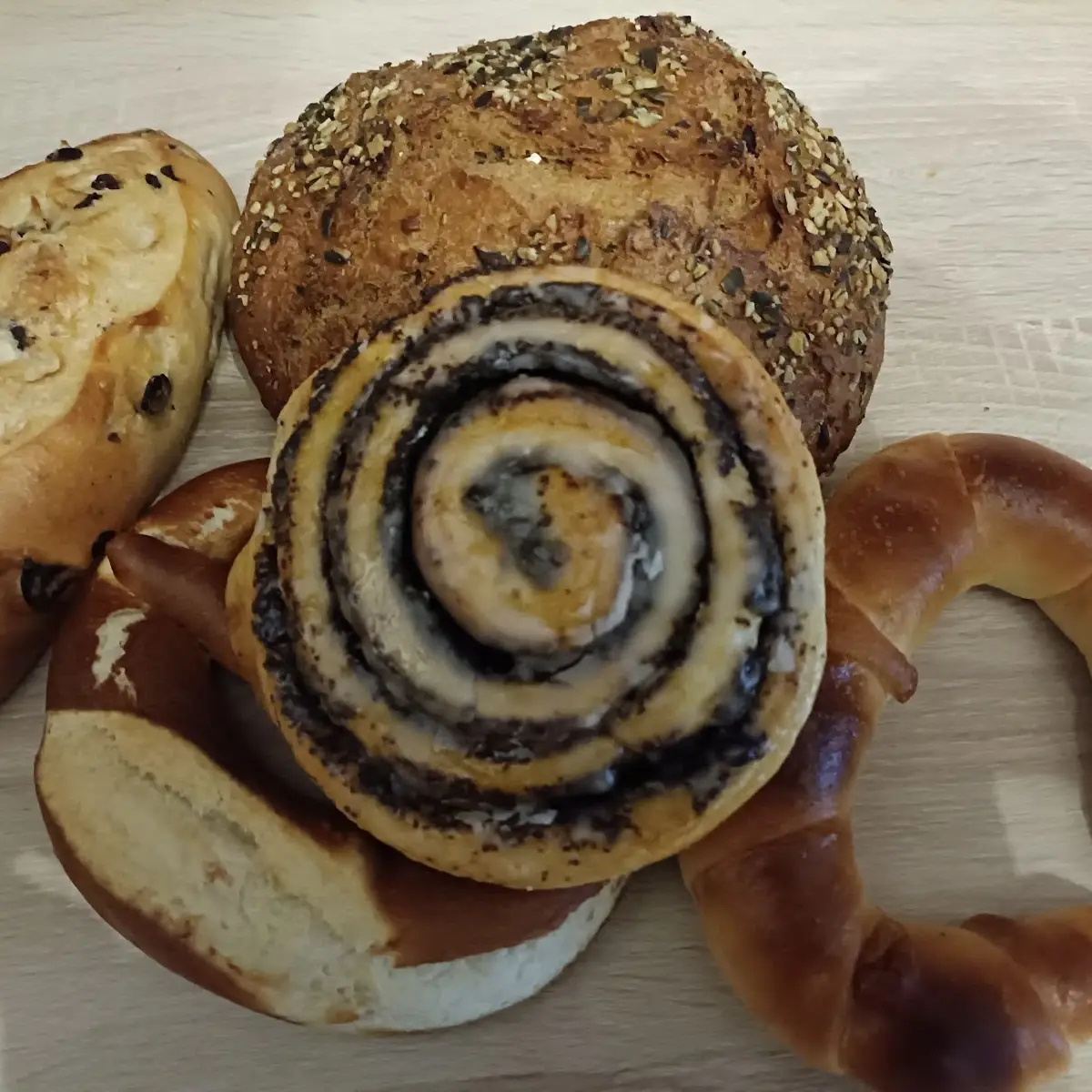 Mohnschnecke