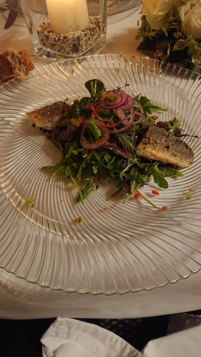 Vorspeise Zupfsalat Mit Fisch