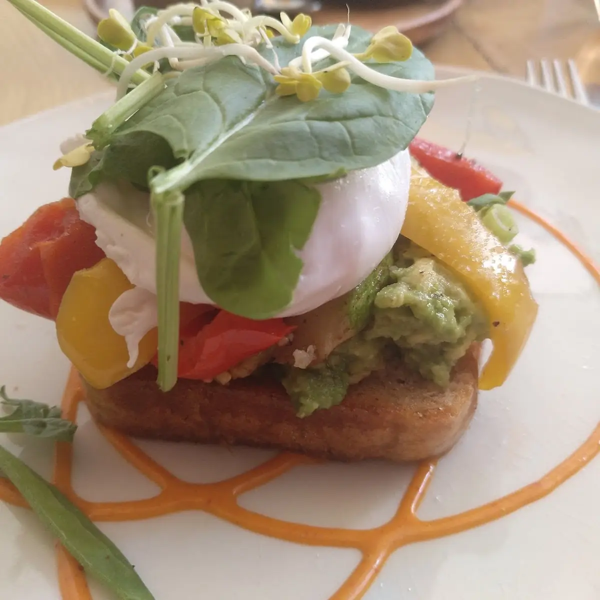 Avocado Tost