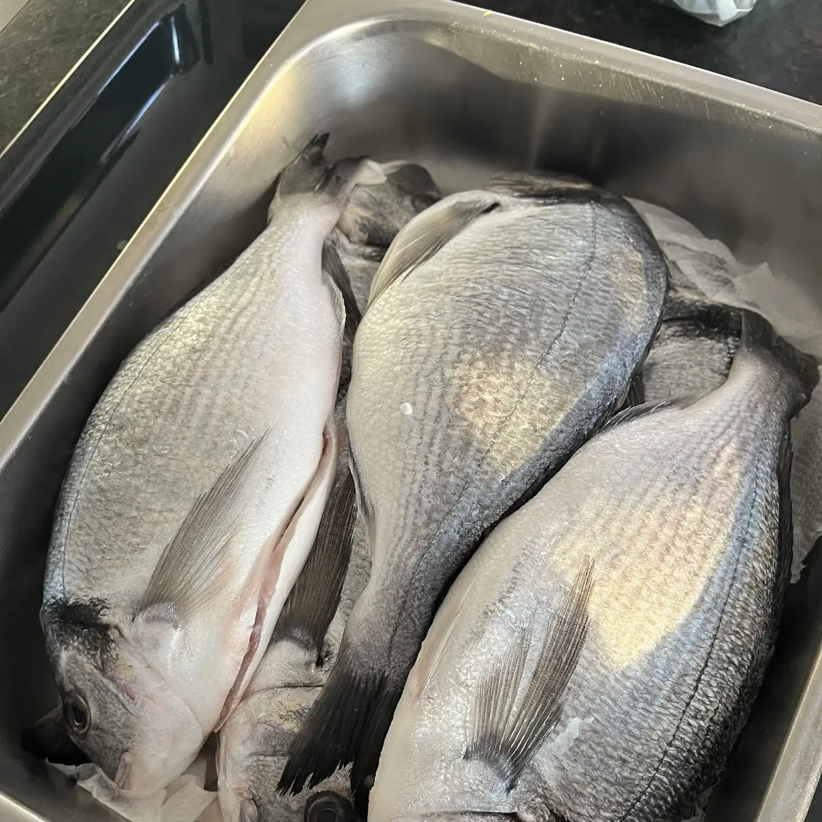 Dorade