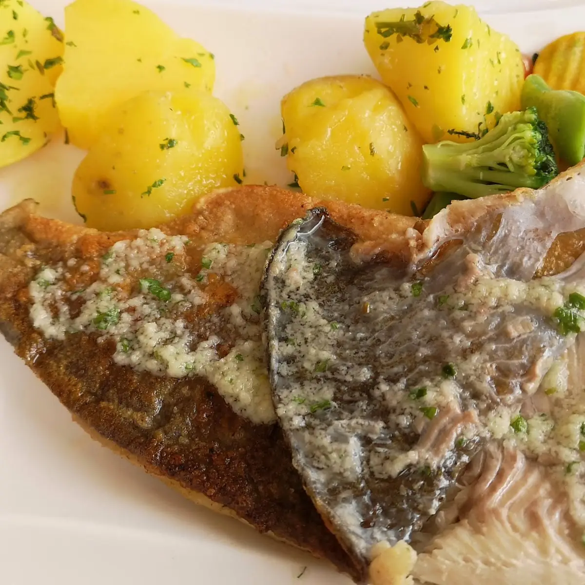 Zanderfilet