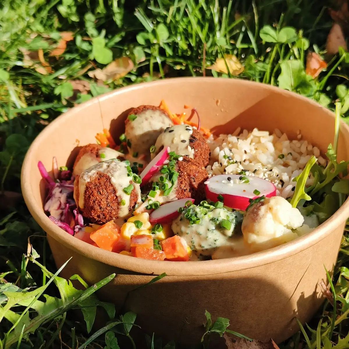 Tofu Bowle Bio