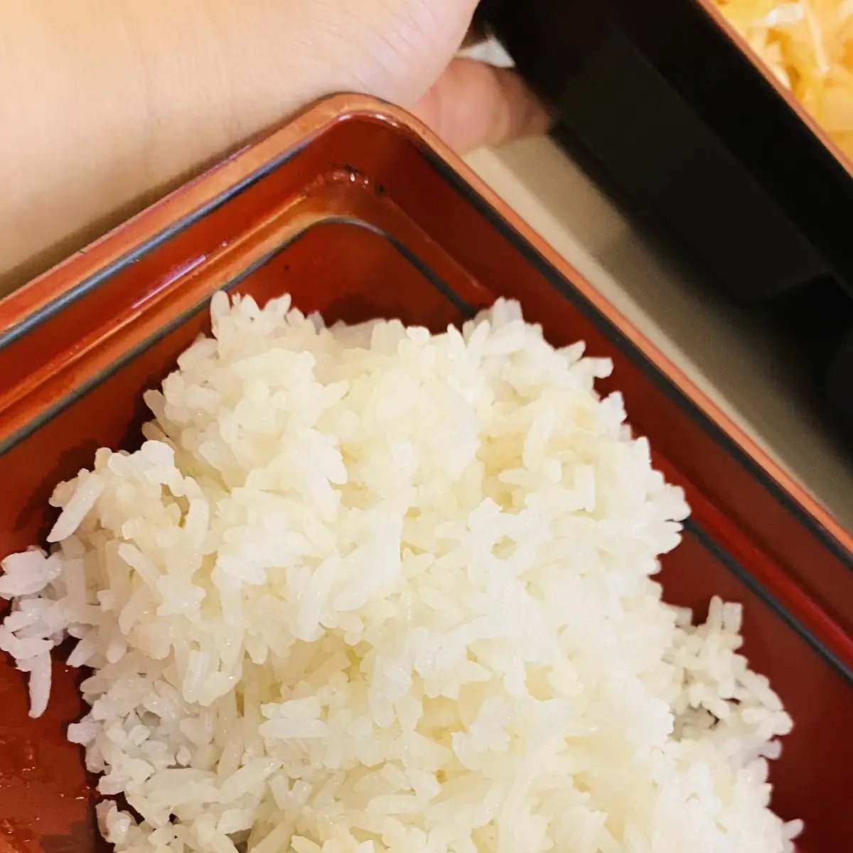 Rice
