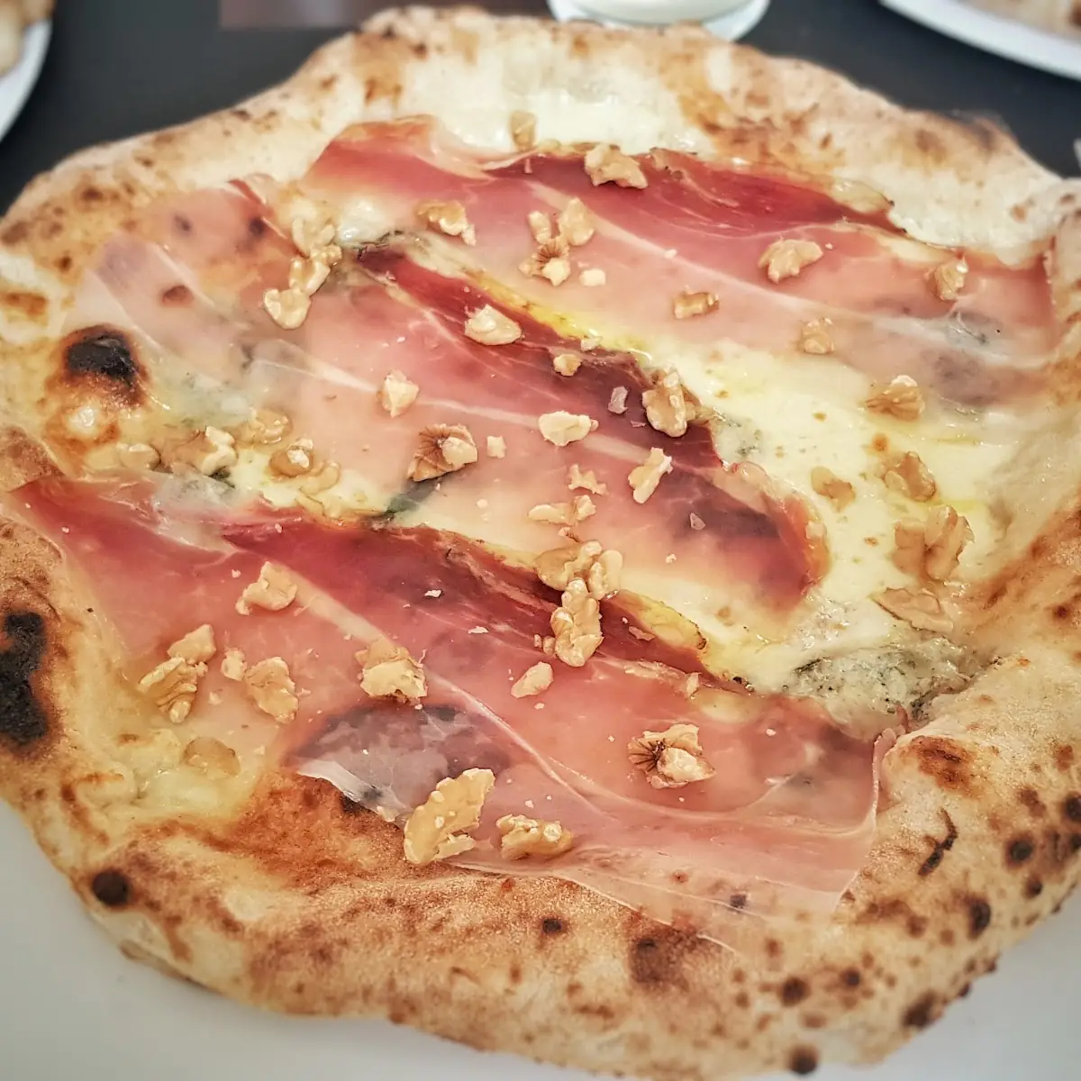 Nociolo