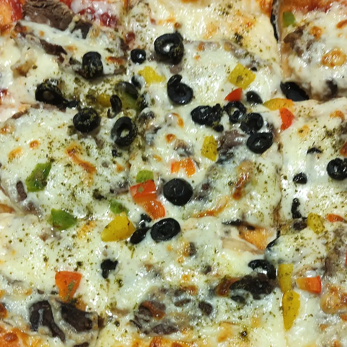 Vegetable Pizza