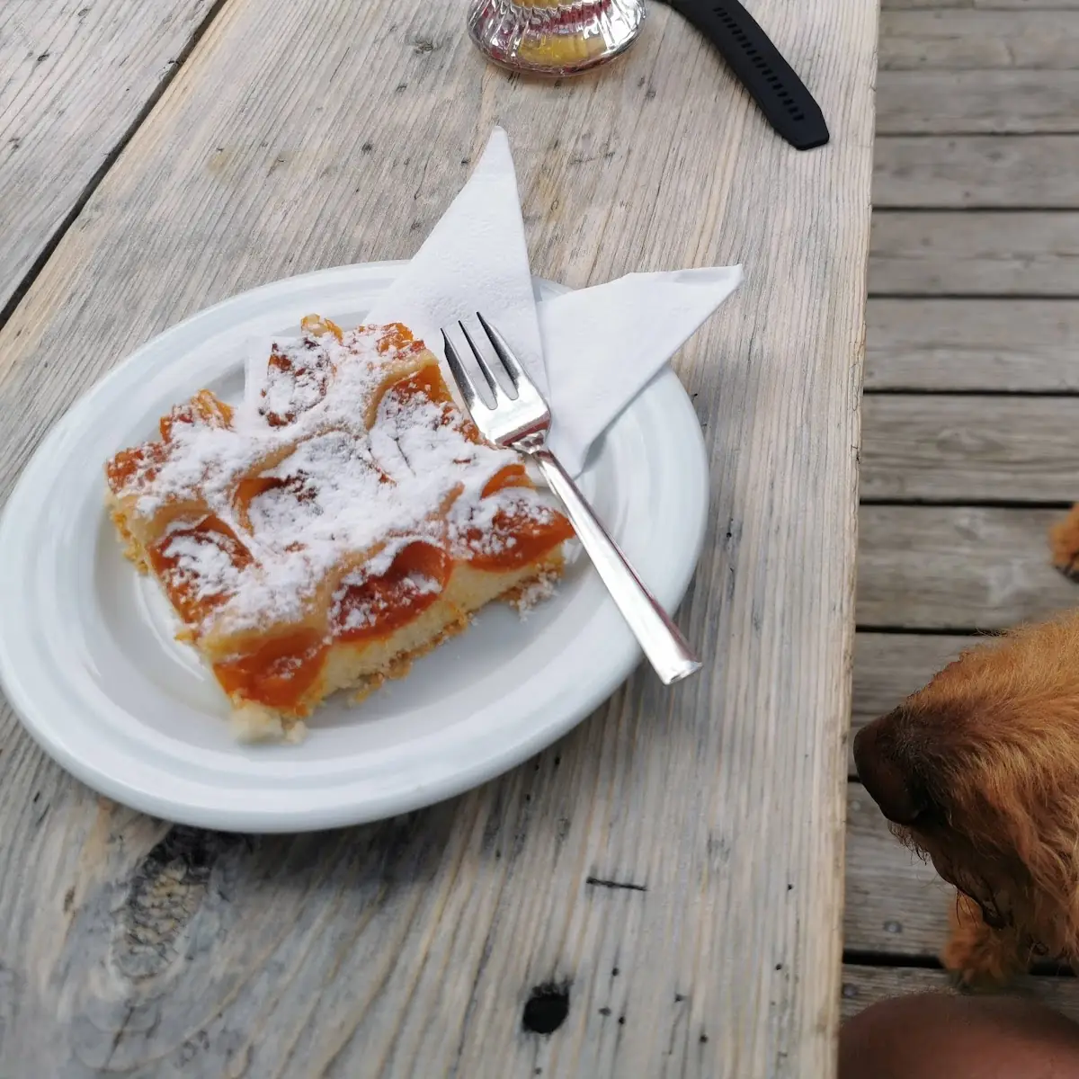 Marillenkuchen