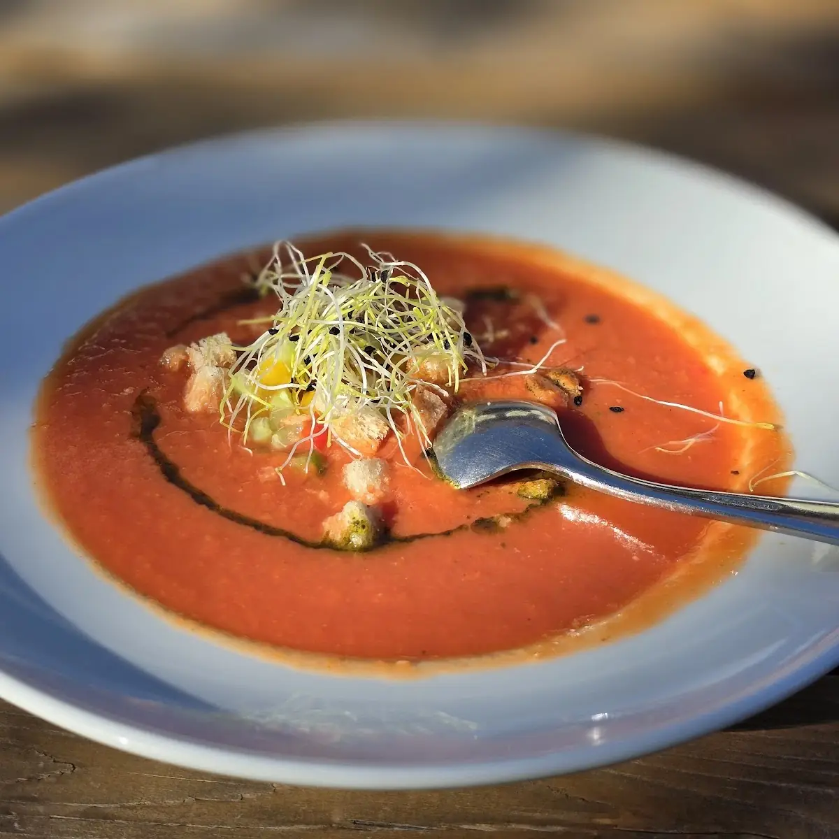 Gazpacho
