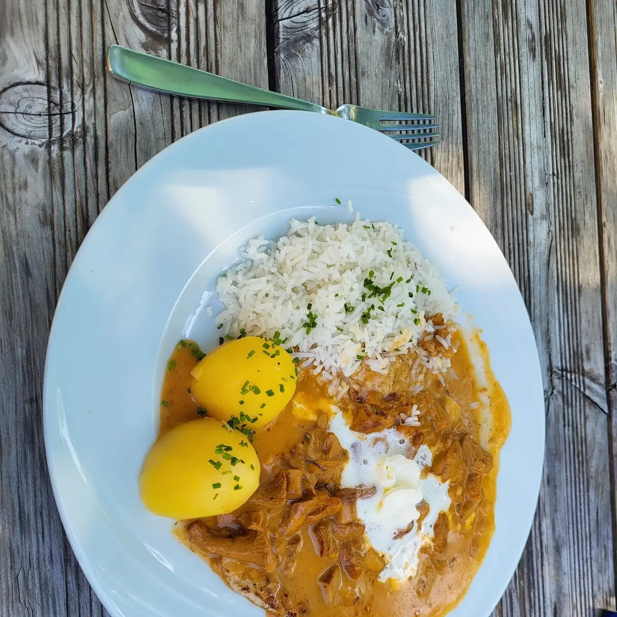 Schweinefilet Mit Eierschwammerl Sauce Und Reis