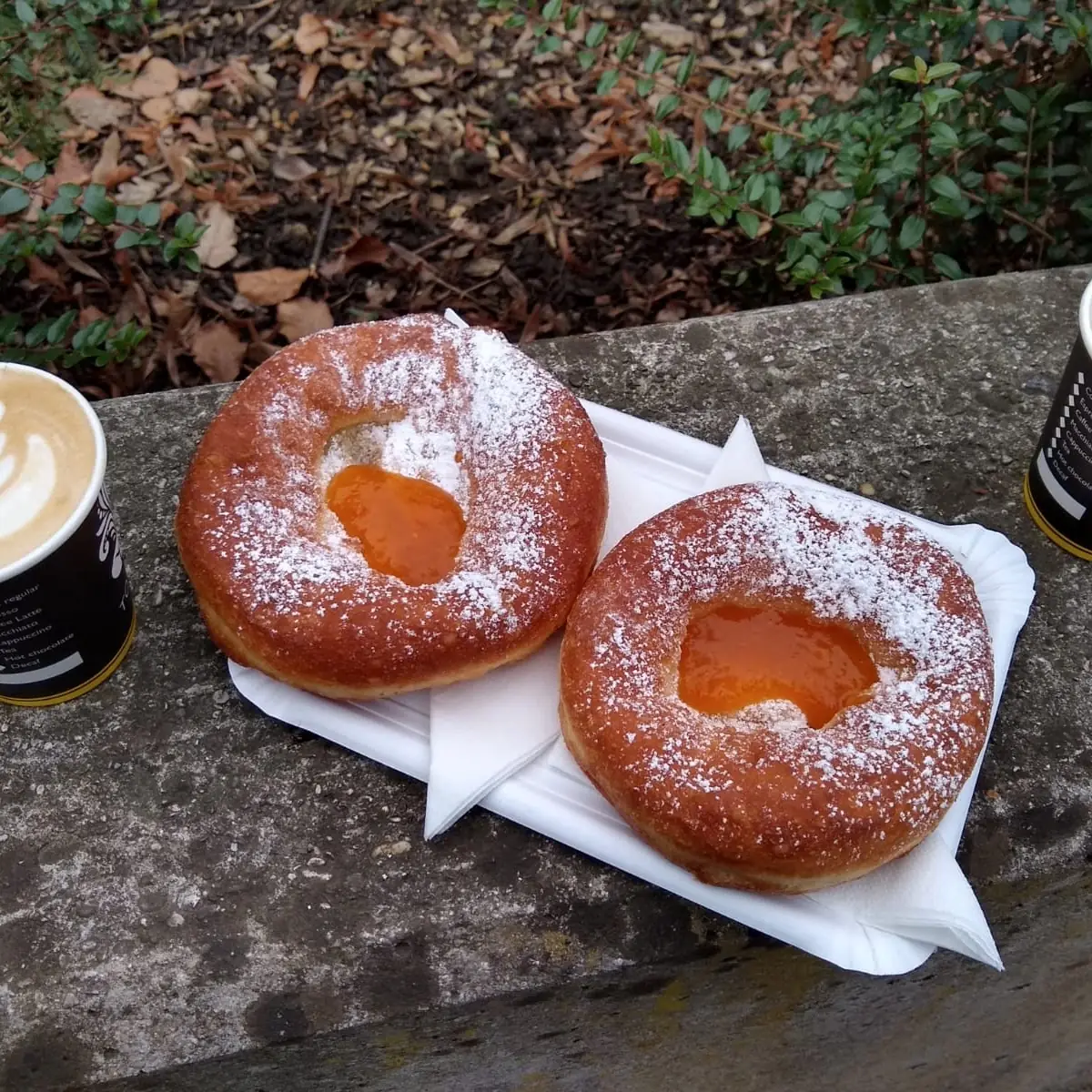 Bauernkrapfen Mit Marmelade
