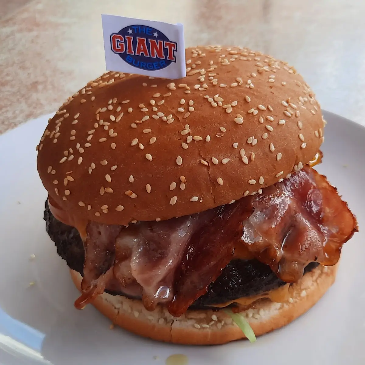 Burger Montagnard