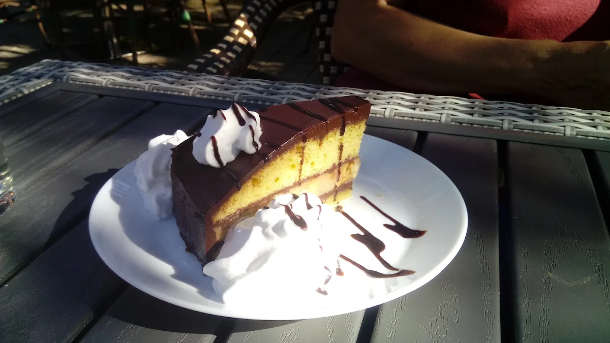 Schoko Nuss Torte