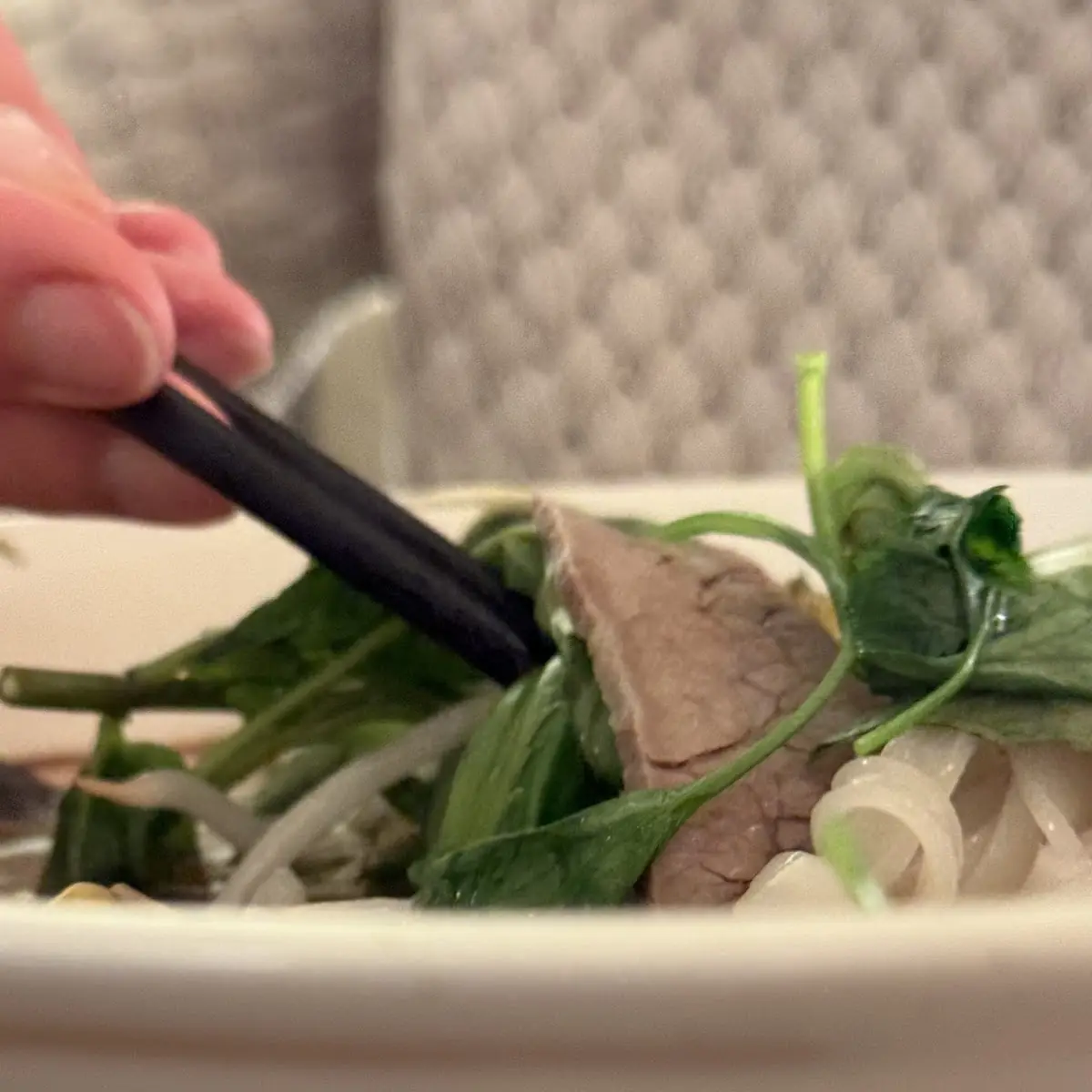 Beef Pho
