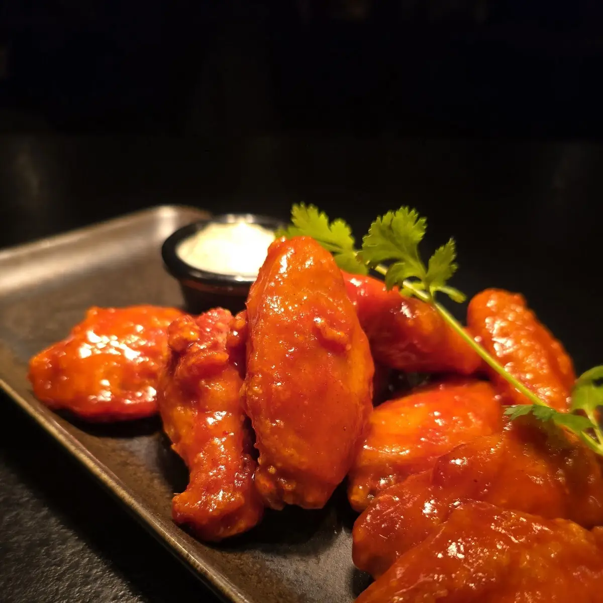 Longhorn Wings