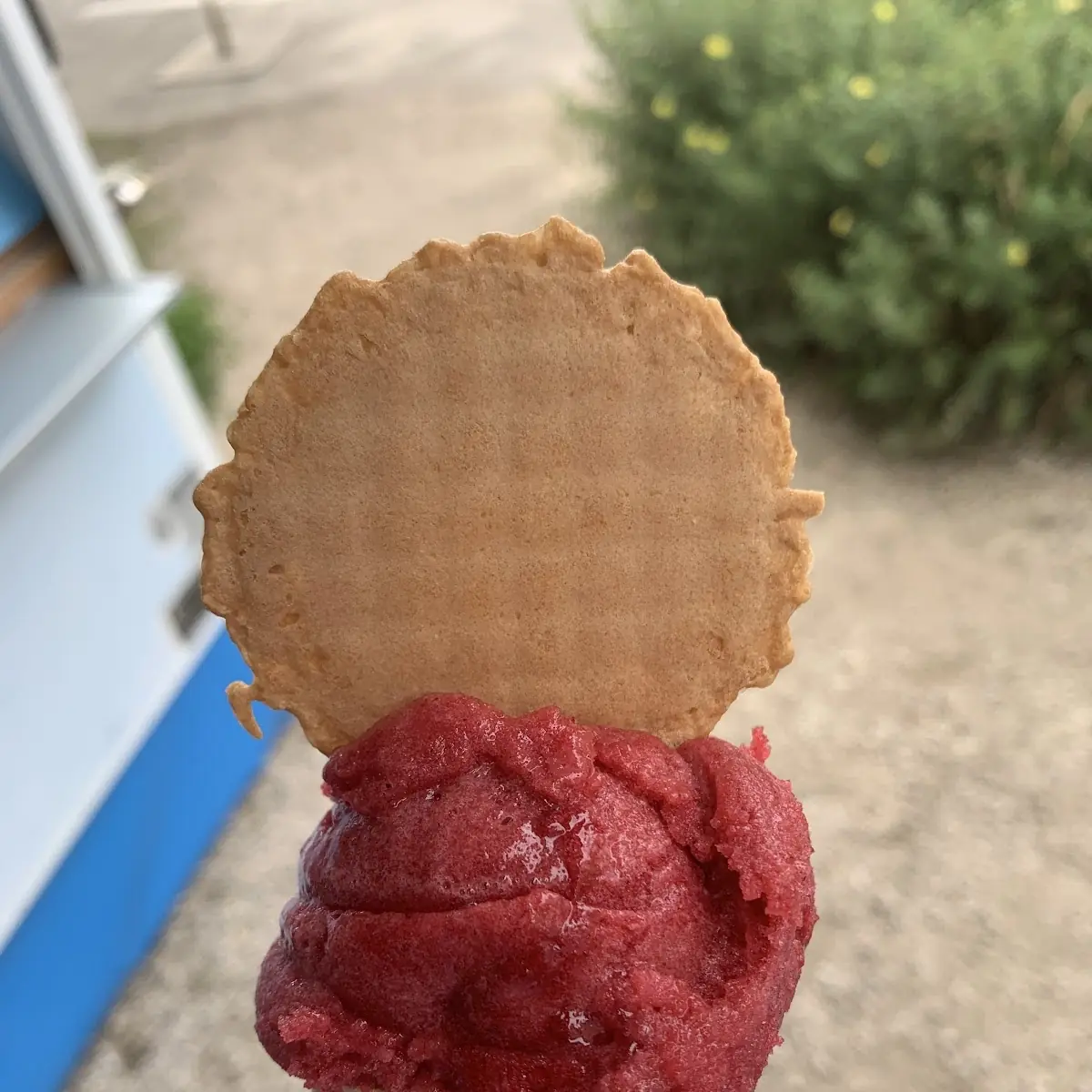 Waldbeeren Sorbet