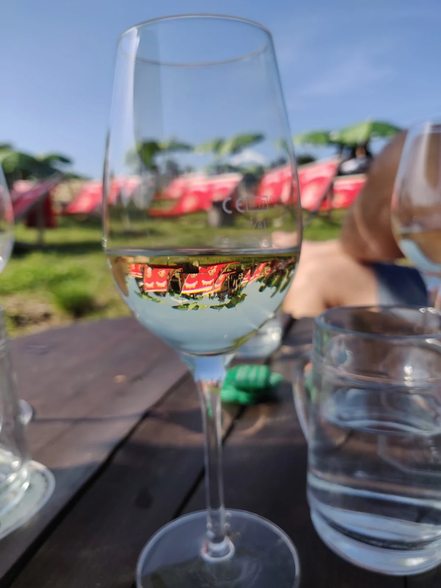Wein
