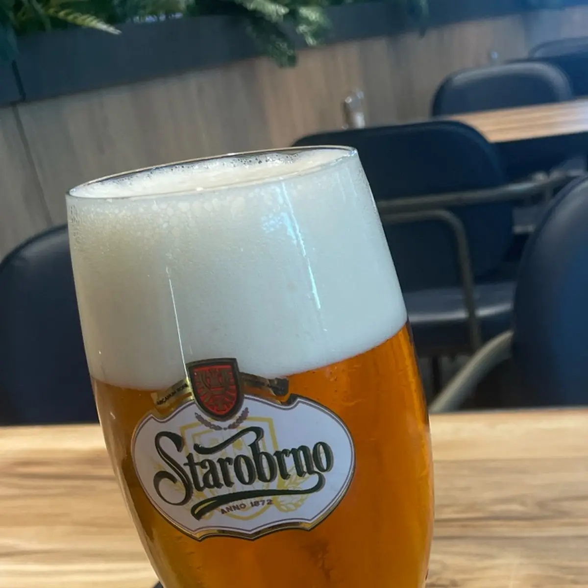 Starobrno Bier