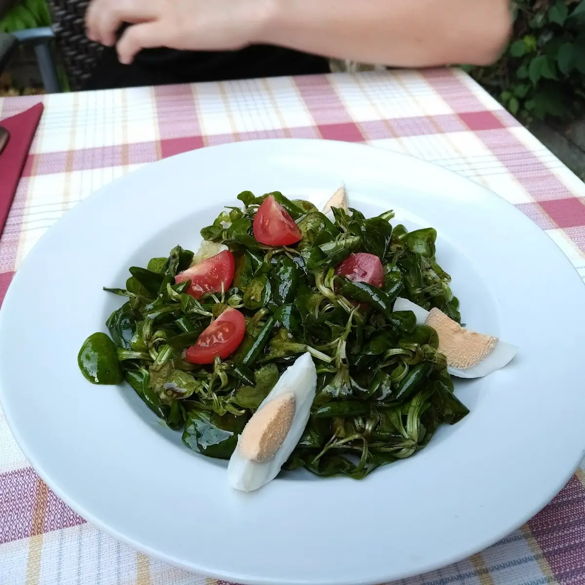 Grüner Salat