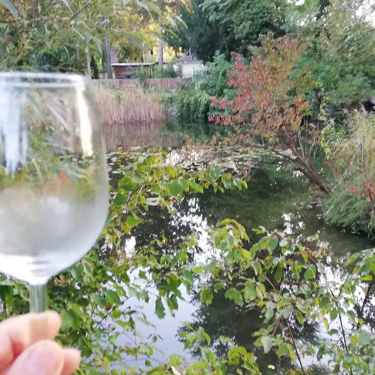 Der Wein