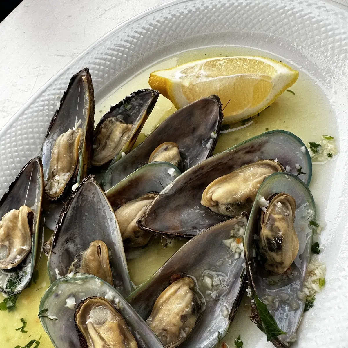 Miesmuscheln Frisch